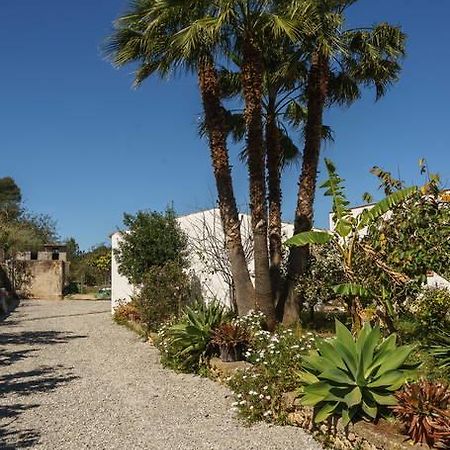 Can Beia Rural House Ibiza Villa Nuestra Señora de Jesus Dış mekan fotoğraf