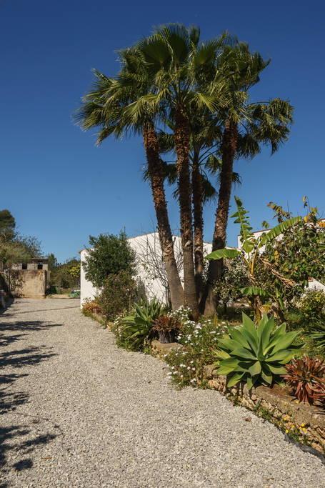 Can Beia Rural House Ibiza Villa Nuestra Señora de Jesus Dış mekan fotoğraf